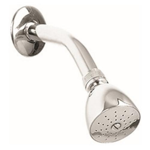 REGADERA CON BRAZO Y CHAPETON F-295B