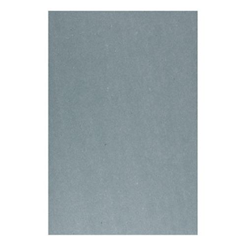 PANEL DE YESO GUARD REY 1.22X2.44X12.7MM RESISTE HONGOS