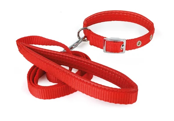 COLLAR CON CORREA CHEVRON TALLA L COLORES SURTIDOS AKSI