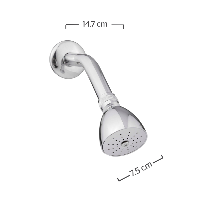 REGADERA CON BRAZO Y CHAPETON F-295B