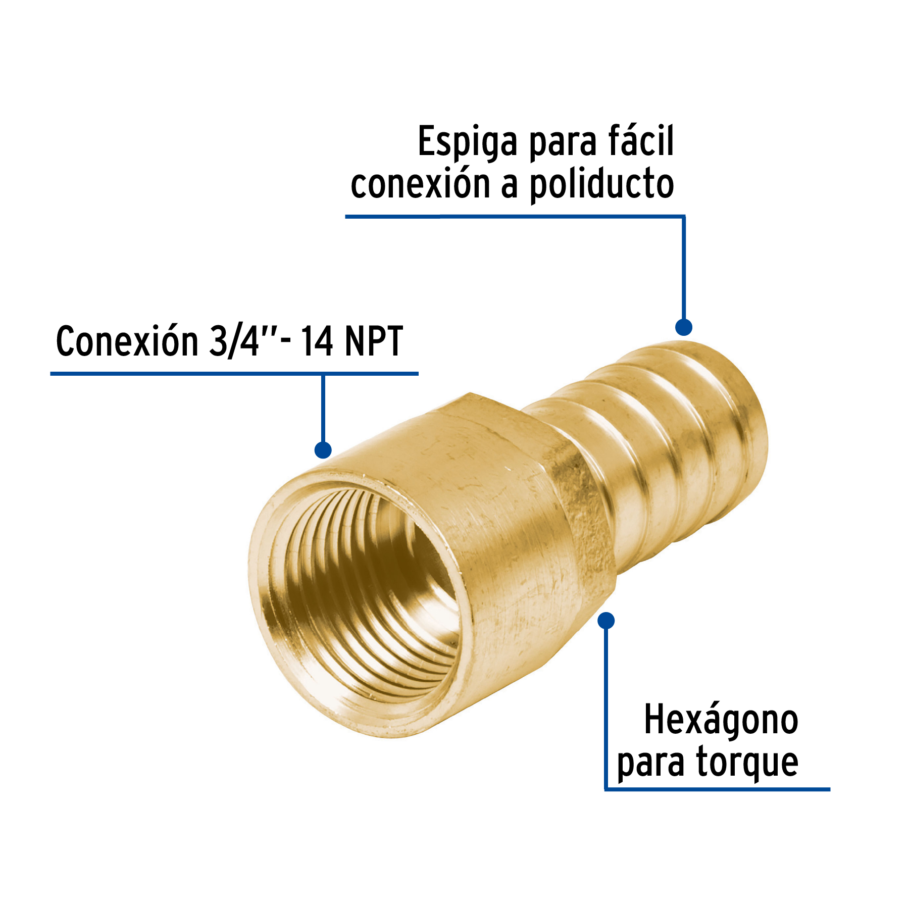 ADAPTADOR HEMBRA DE LATON 3/4 Plg. PARA MANGUERA FOSET
